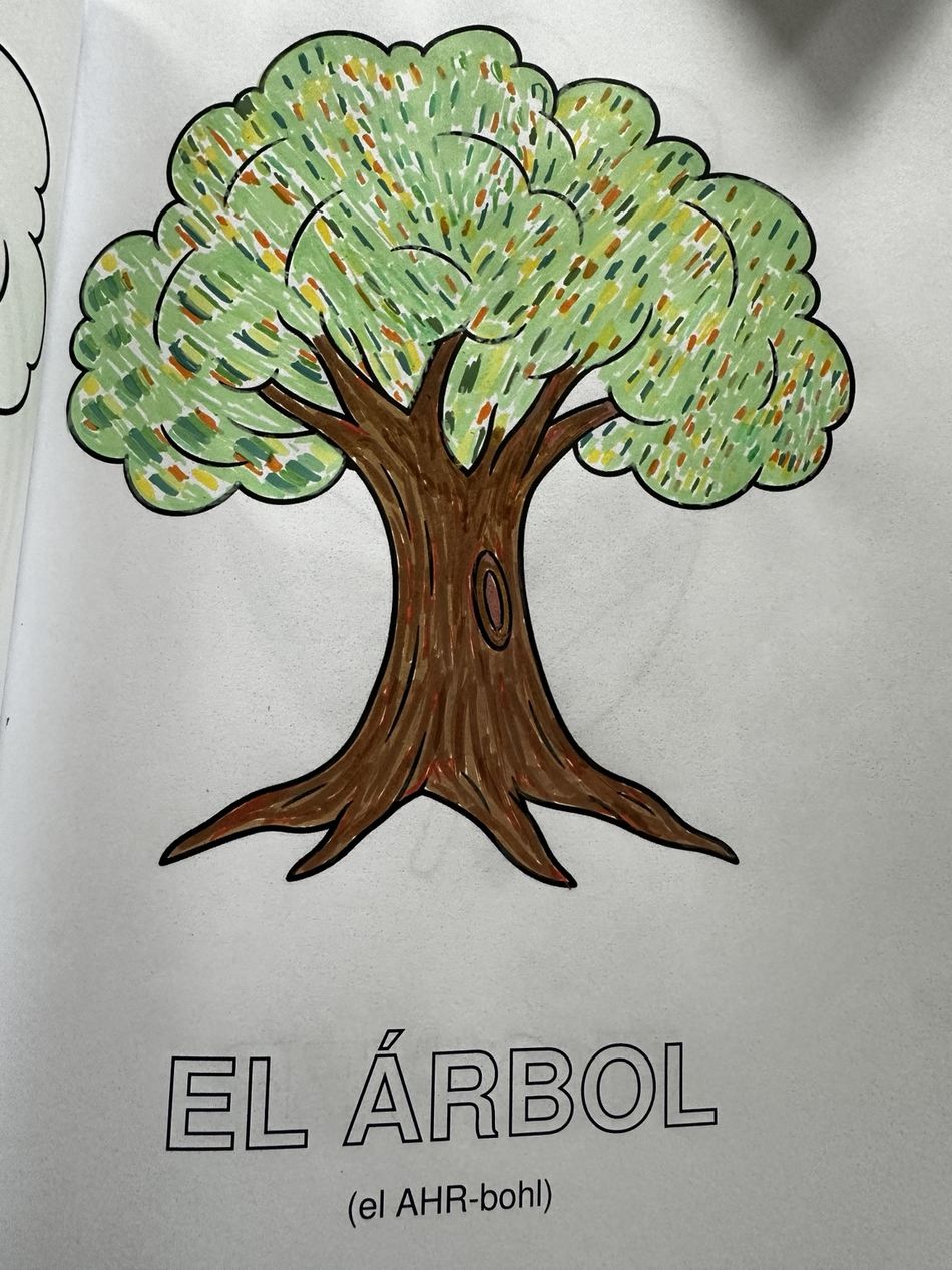 A tree coloring-book page hand colored by author T.R. Lewis, with multicolored leaf-like strokes