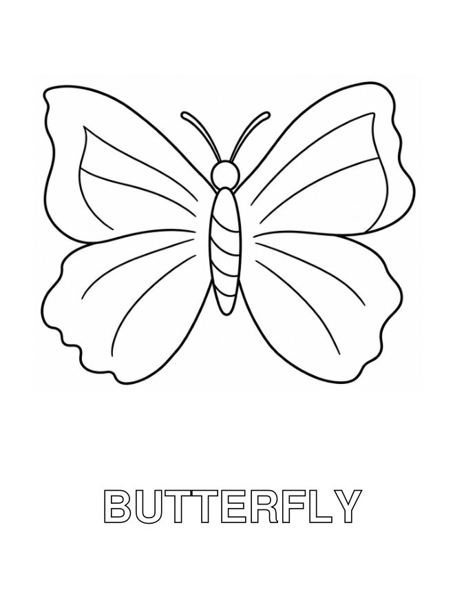 English butterfly coloring page from the book