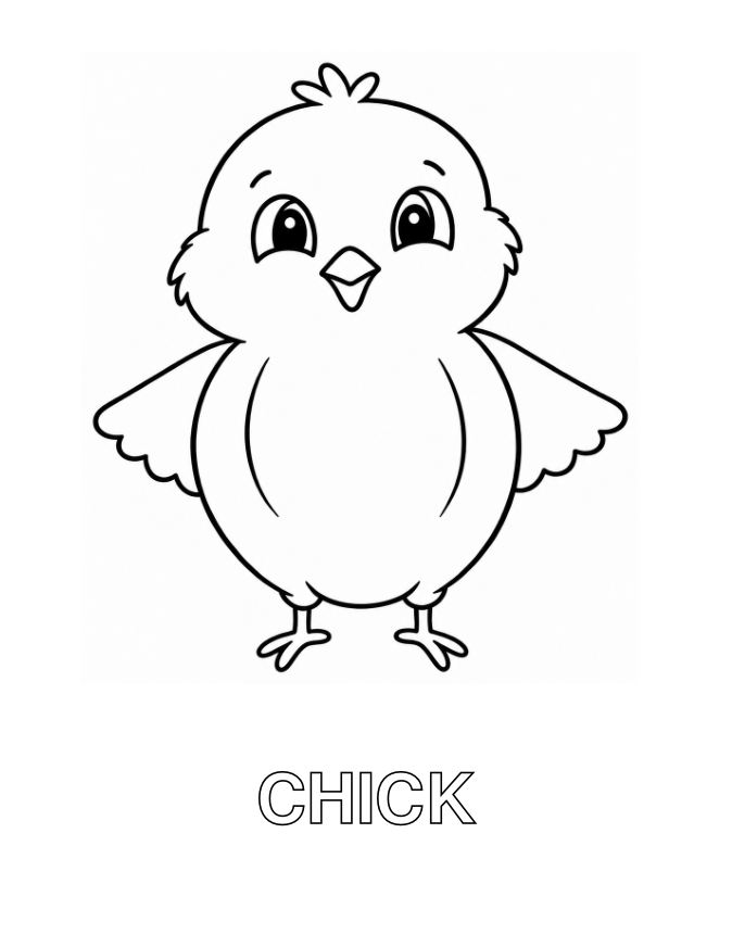 English chick coloring page from the book